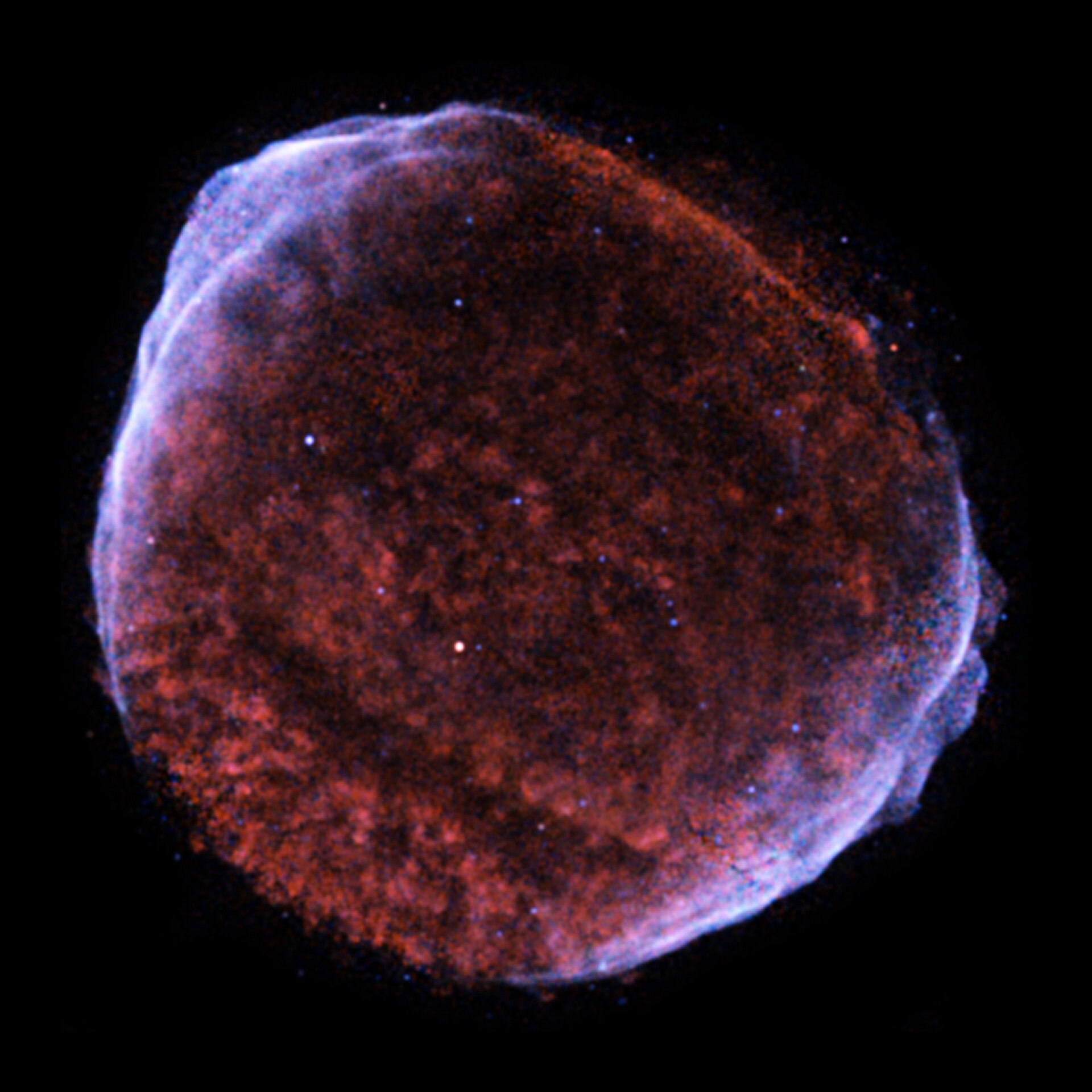 SN 1006 supernova remnants