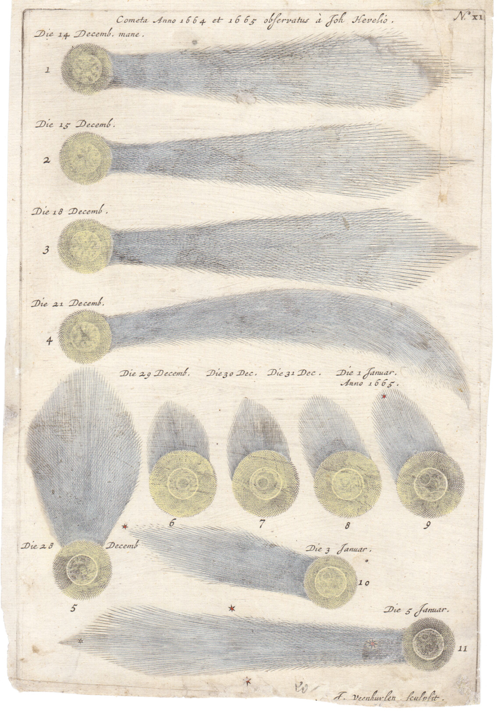 Une page du Theatrum Cometicum représentant des observations de comètes